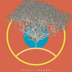 74168867016011539093366687608765447348507224284888477074887989888101969297409