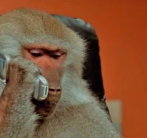 Untitled Collection #241614173