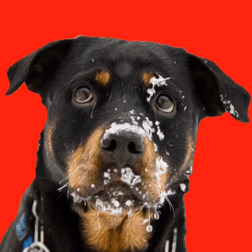 20263366600750275083551787550457323161745504762773807667868667818416854270952