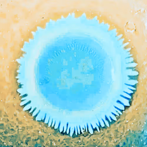 Item #4784811104091394596433299599418734801546949172415580233613544126892864438273 Media