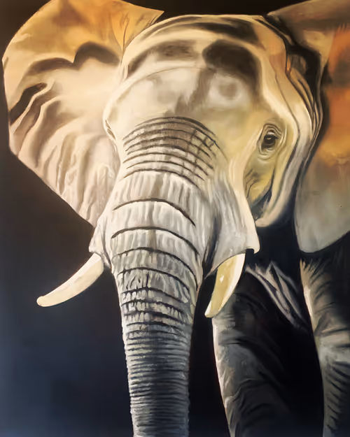 Item #11869765282792691203849289330540356918124405055527721221117974027155382730753 Media