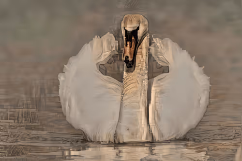 Item #84909636412311585483413608875614838794962319740527563560876341368358145359873 Media