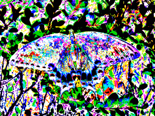 Item #88550933380159429652573600088596543452217115268663300900517750203439833415685 Media