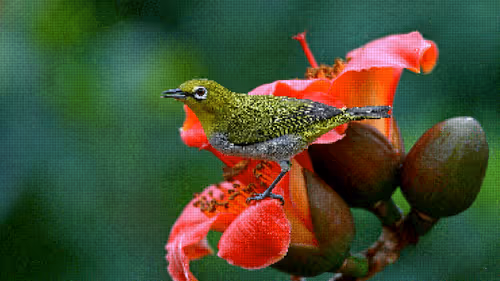 Item #75866091947728652238534111254584504918190435733442380629681527319664605003777 Media