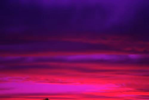 Item #102771070306004819985898819999052787652815039064996374663455445998303572918273 Media