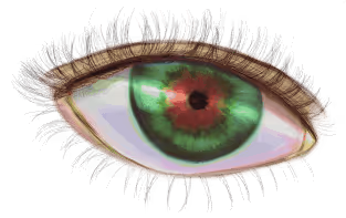 Item #42950694591796666568266939449637019646211598636303907727097118043015779188737 Media