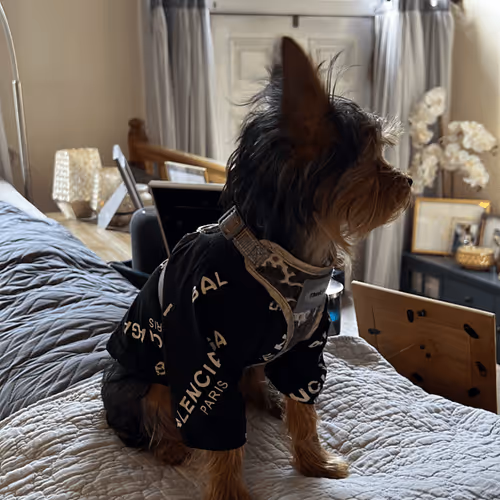 Item #88066140528539479869456014744410398514327997074780151392509103657532218408961 Media