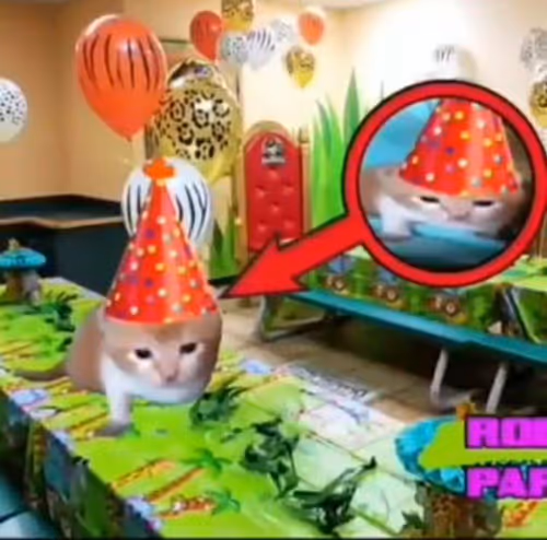 Item #100944255907451799266059540088402657668052309998080285023641344508082660578184 Media