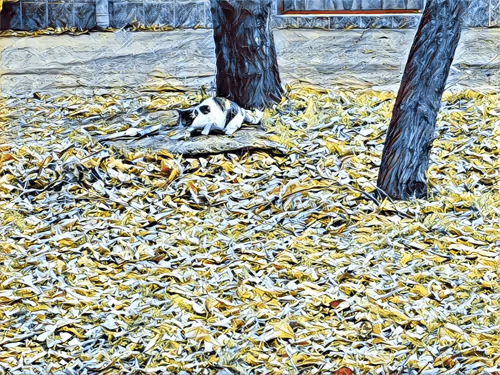 Item #46397680814911453718365897270123246439130732684861044295736256114398528012289 Media