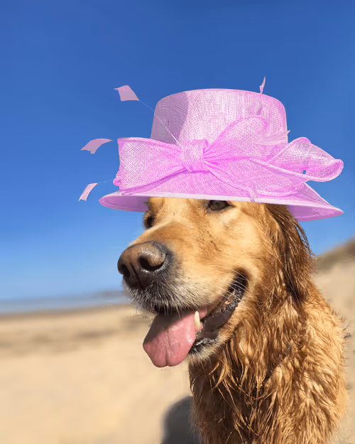 Item #26839399415497039076862880694069072006331525189107682525417321801677273038849 Media