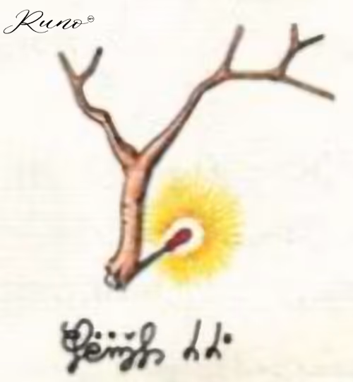 Item #82027568132874209204905566475371830288322008056794566303556806055987658096645 Media