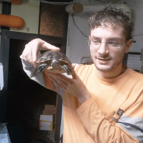 Item #47214077244790254150951228870277529554158353613299284939829940323357340729345 Media