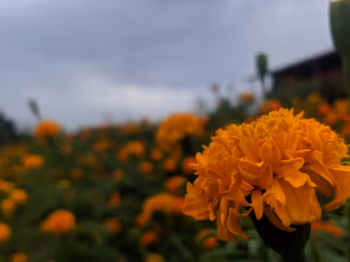 Item #32153802364987129145611654486560917672236906363351108984693106478962557583370 Media