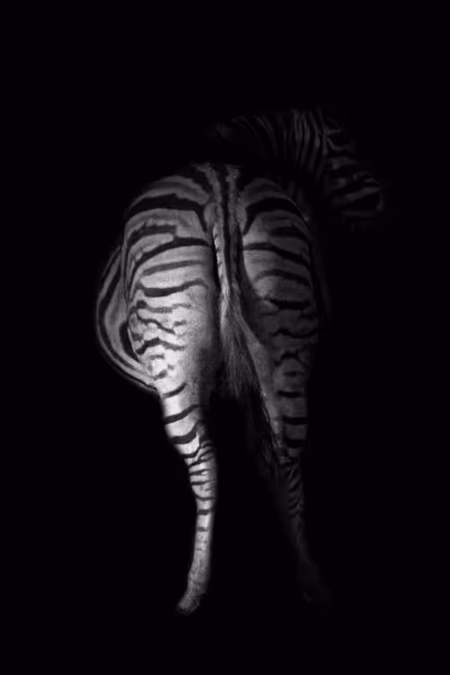 Item #28567716502395368545190530539508003003615259793471226078435859193482308485170 Media