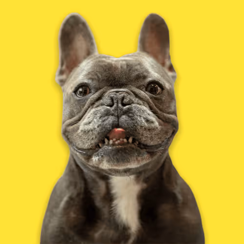 99031261785432219130552668818269695456905868997165113515571762268673696333825