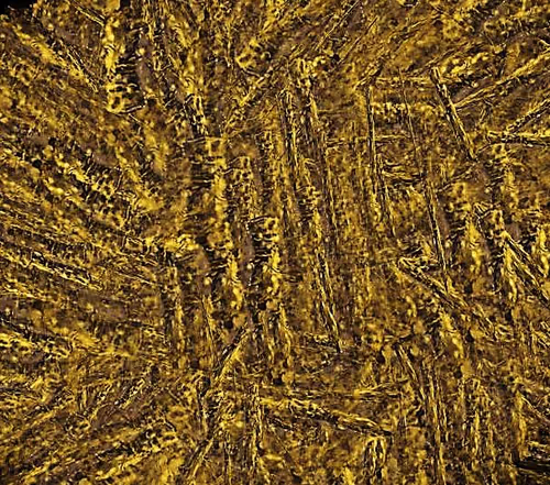 Item #97667747305328880677719999642930270019019806513031101726286666969726761041921 Media