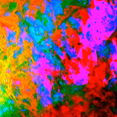 Item #54580750399972977561693001948762990704256824762799748175109014449101178142770 Media