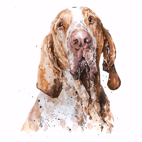 Item #15308155937593783866228062712704217529335676444312394672786838645811670155269 Media