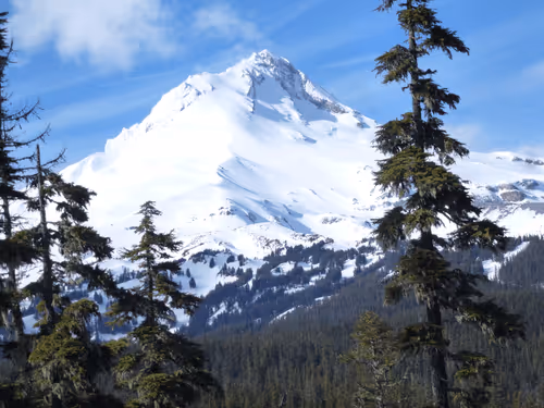 Item #58794710509392551542040062735070557949504527085713565262229554338946357395457 Media