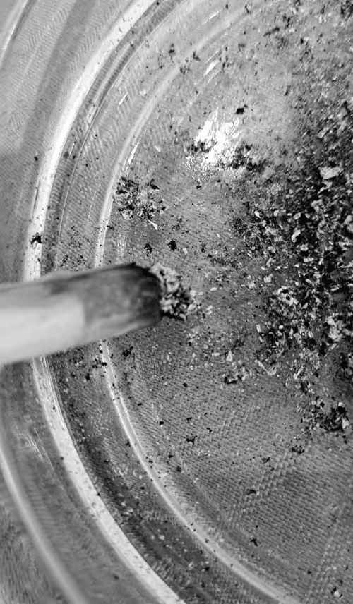 Item #29699864615248847487524312151558890487951528906169055030840184620618403020801 Media