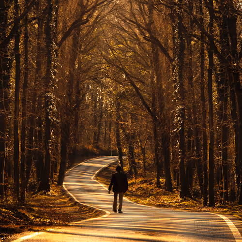 85223993050076982606488361142318106112065178621843524715377493164581512544356