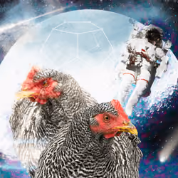 Space Chicks