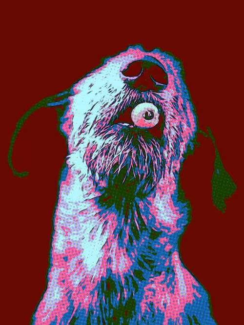 Item #57108856801896560903746486383639662779373746189961117065333784836824438407169 Media