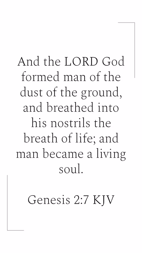 Item #4620572026874421975800438515511773176301755811009718362916894744474007109644 Media