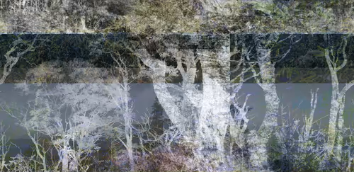 Item #88040907221947090454850026649878117653263205862123674841520463881141603008513 Media