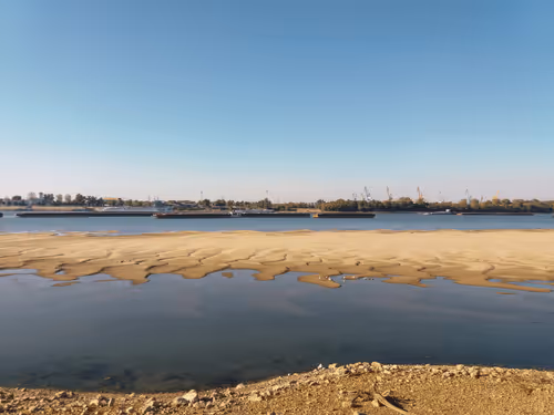 Item #55807924163620882743305652927464896138649887097193374139054959741290659446787 Media