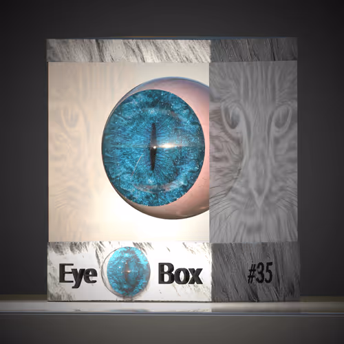 Item #87151933800671267645647559135499828903103985988159700901786024121009616977921 Media