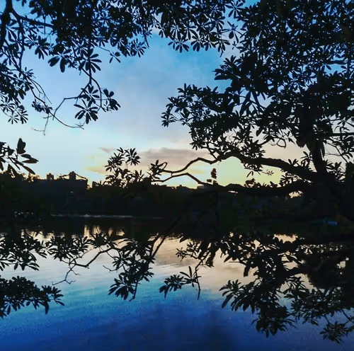 Item #87127622144776668010211497399032610088165746292807650017702048356762195591169 Media