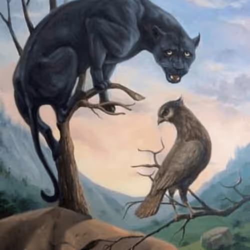 Untitled Collection #149555934