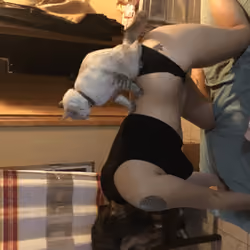 cat butt