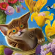 TestCollectionCats