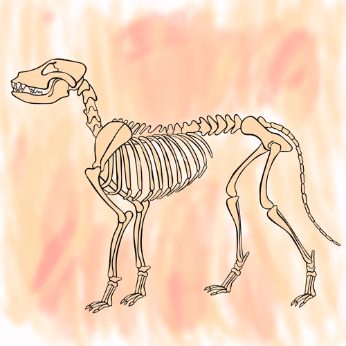 Item #66115251428437251400949335005857765940906863007353817121707627051730499272705 Media