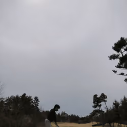 Seo Young-jin's first golf field.