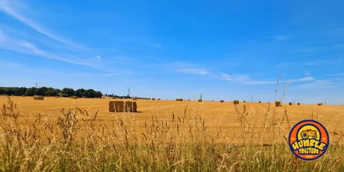 Item #35863194083128256797647772425284652682645032595179500226087347097731153788929 Media