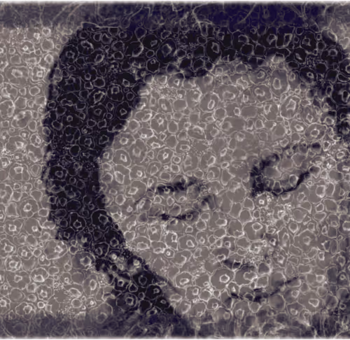 Item #67553364102704910052786438722982539447022718177836165747965600779169628684289 Media