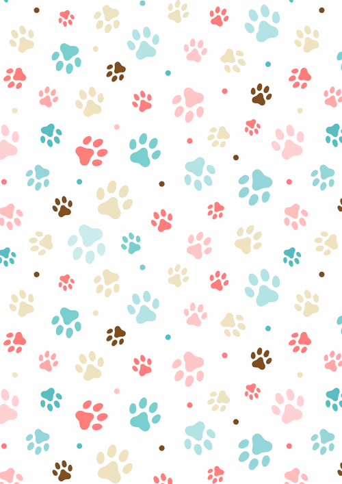 Item #31081804352330578596568685091517160537930858517835942894700269916345453248513 Media