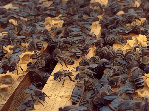 Item #101599579626109009666607068920778550362968334718480795982881728499053316014081 Media