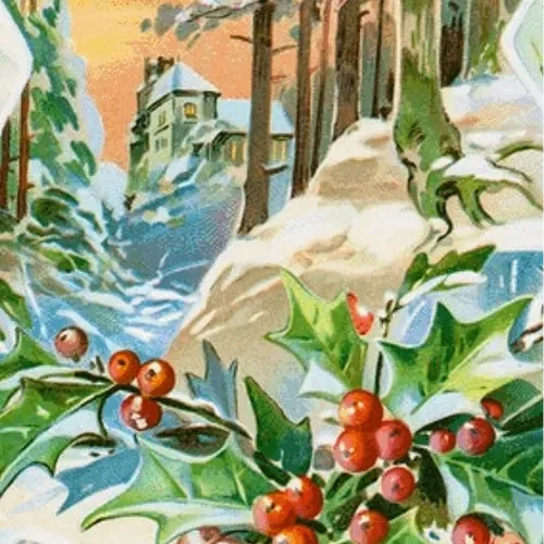 Untitled Collection #48646758