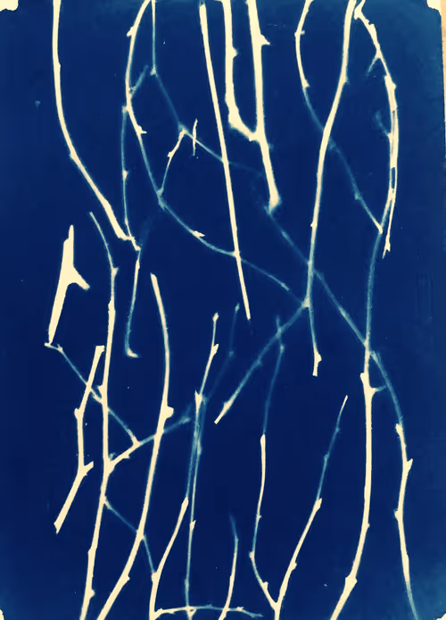 Item #79708962715556691089278777526445721574606898875148265995553784943604184121345 Media