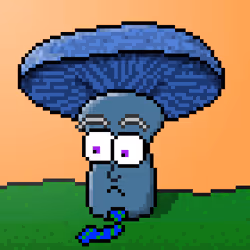 33741781216748986518517832568595493503429706584982134247768926144851188121601