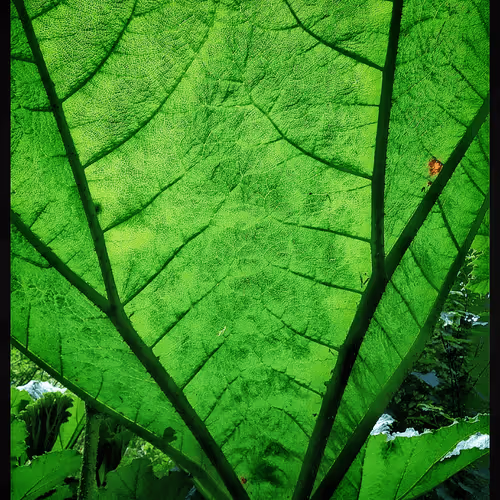 3787080761074609709675817509753112159059746763483256848434353797489942855681