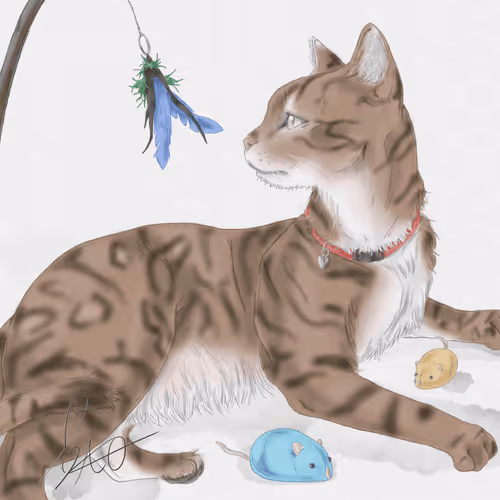 59698995597156753521260483355934506753642150267256783215488822636830582112257