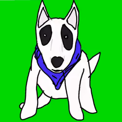 dog Bull#ALL