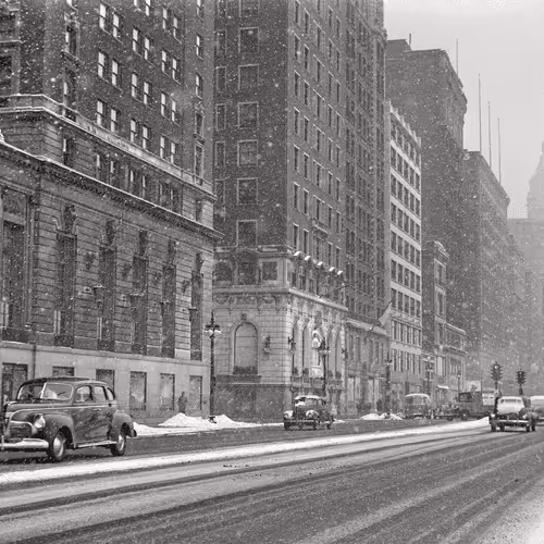 Item #32000974469965393390490201981264320242865717483656495586144325000710791888897 Media