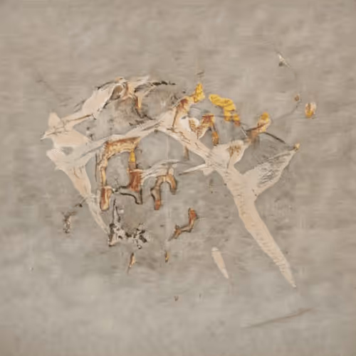 Item #30166107344743708059270094802271962169882312451502808097409442685433291997185 Media