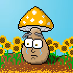 33741781216748986518517832568595493503429706584982134247768926291086234615809